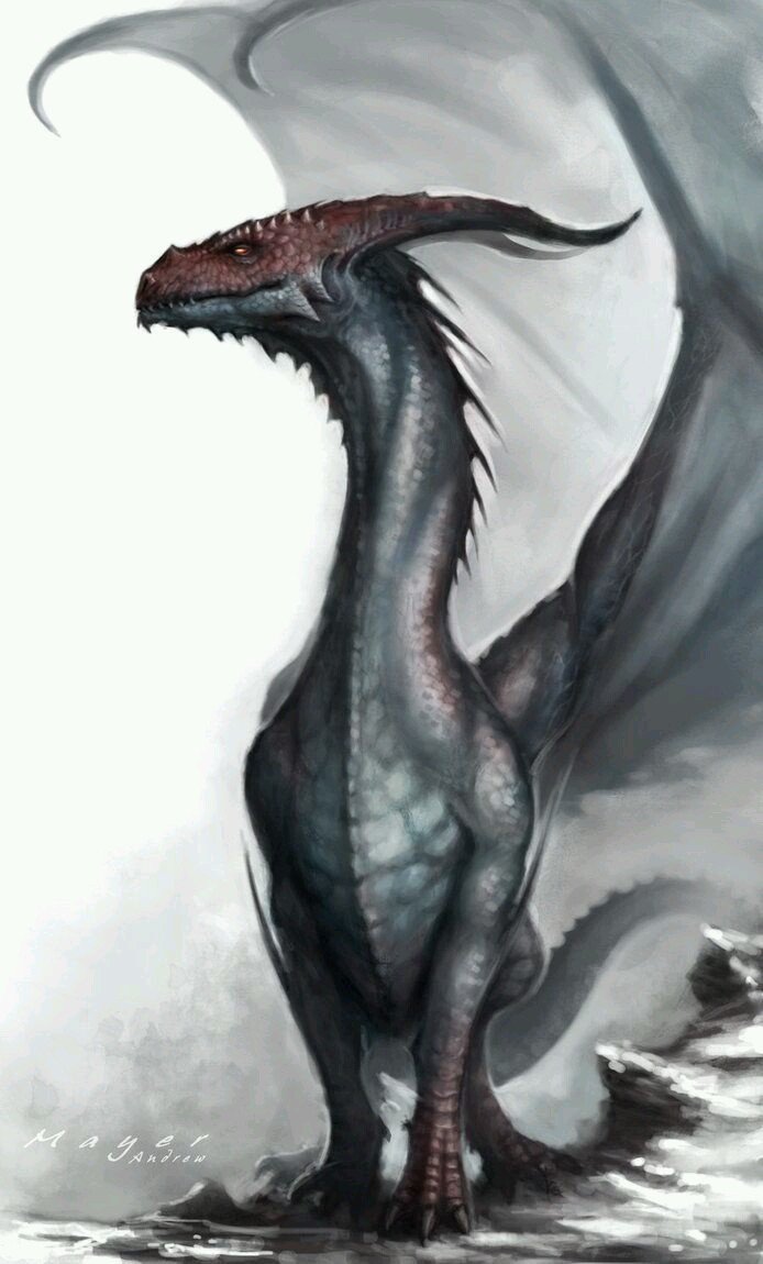 Character Art: Dragons/Wyverns. Dragons won, which is cool... I'm rolling for this