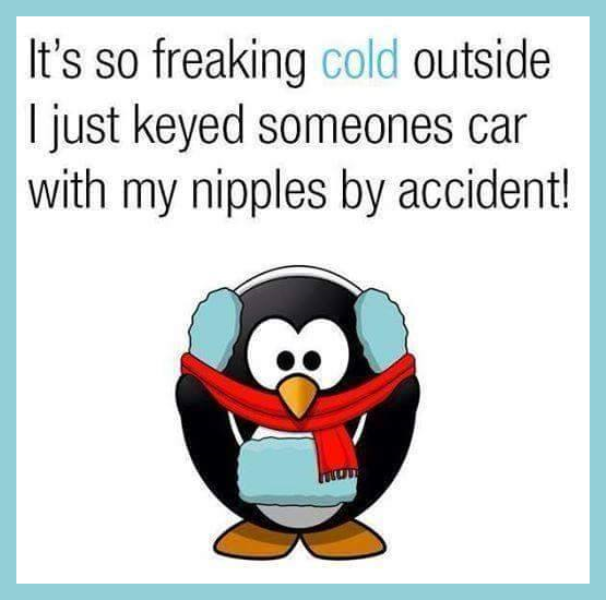 Christmas Critters Of All Kinds. Dobrynya is given to France for Christmas this week from Russia. The Russian Officer here is giving in honor of the French Poli