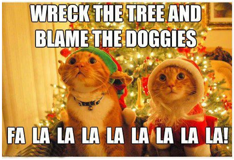 Christmas Cats. . Christmas tree DI‘ ll. merry xmas from the lulz crew