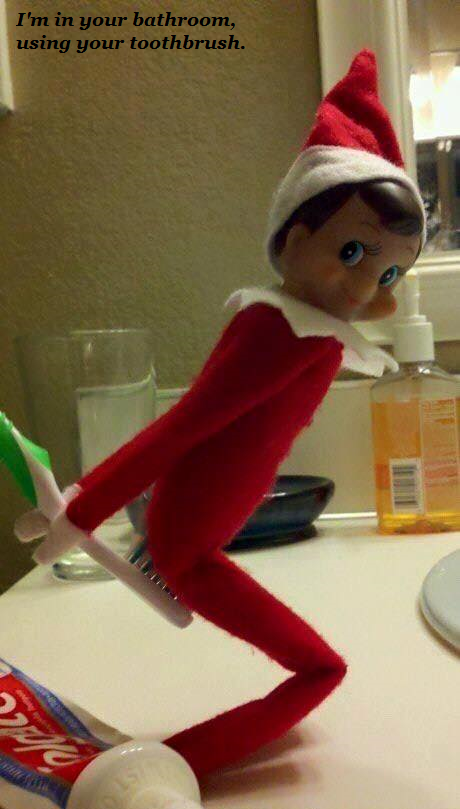 Christmas Critters Of All Kinds. Dobrynya is given to France for Christmas this week from Russia. The Russian Officer here is giving in honor of the French Poli