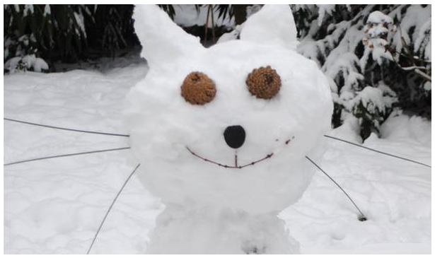 Christmas Cats. . Christmas tree DI‘ ll. merry xmas from the lulz crew