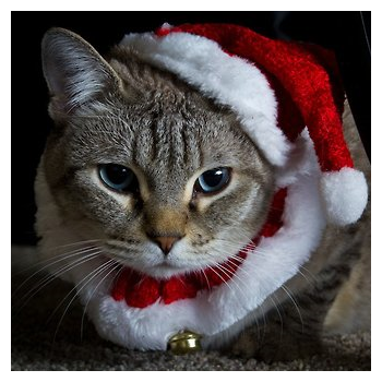Christmas Cats. . Christmas tree DI‘ ll. merry xmas from the lulz crew
