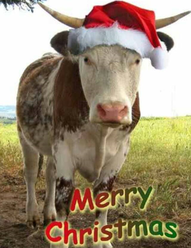 Christmas Critters Of All Kinds. Dobrynya is given to France for Christmas this week from Russia. The Russian Officer here is giving in honor of the French Poli