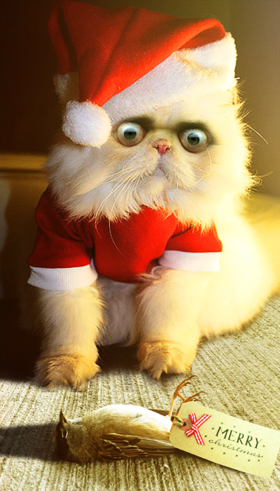 Christmas Cats. . Christmas tree DI‘ ll. merry xmas from the lulz crew