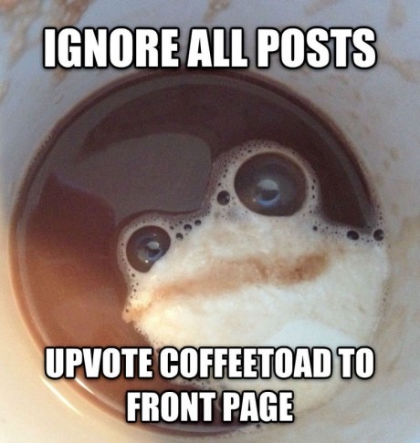 Coffetoad_49bf7a_5852829.jpg