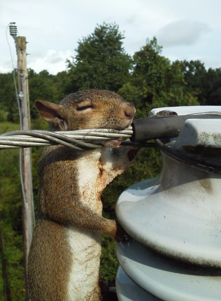 Comedy gold. Stolen from imgur.. So reddit is the new tumblr?