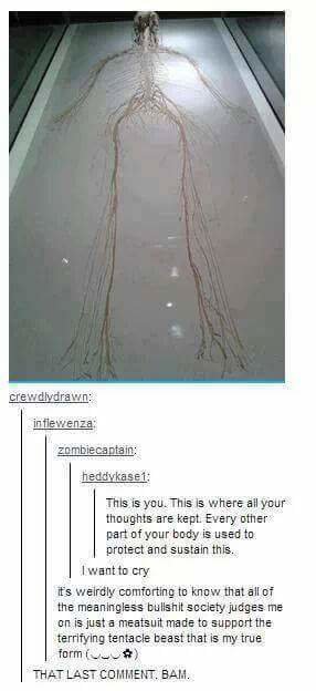 comp comp. . you' re drunk in idfrir, back of d and i' Alit, 11 driver asks you for directions. the accordian one doesnt work if you stick a photo of a accordian behind it