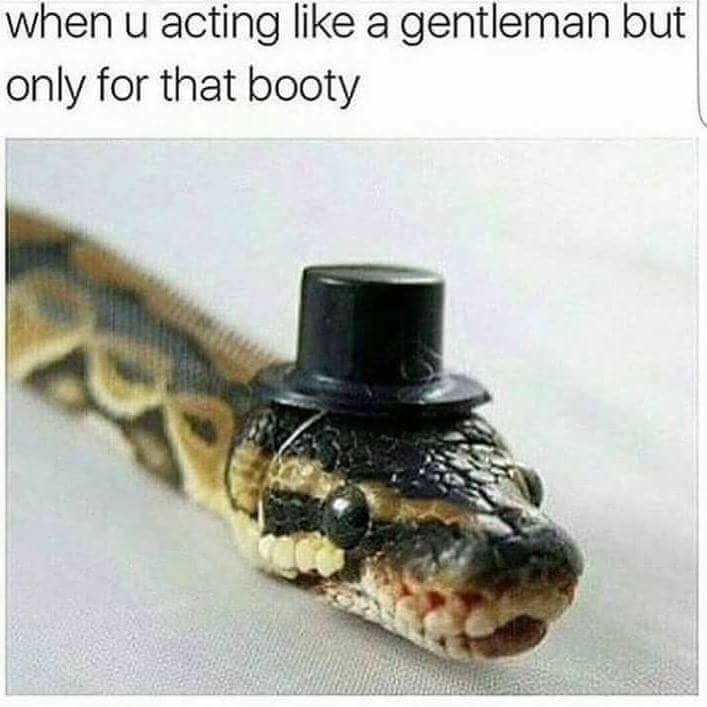 comp comp. . you' re drunk in idfrir, back of d and i' Alit, 11 driver asks you for directions. the accordian one doesnt work if you stick a photo of a accordian behind it