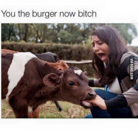 Compilation of funny pictures 10. Part 9: /Compilation+of+funny+pictures+9/funny-pictures/5791096/ Part 11: None, never again.. groan vitsi . rwt. "What's wrong, Billy" "Little- Little too real for you, Billy? Reference