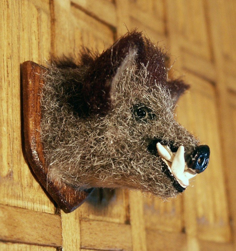 Gaze long into the abyss..taxidermy 3. Links to comps 1&amp;2 /Lets+gaze+long+into+the+abysstaxidermy/funny-pictures/5632979/ /Gaze+long+into+the+abysstaxidermy