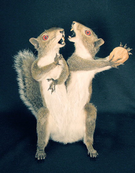 Gaze long into the abyss..taxidermy 3. Links to comps 1&amp;2 /Lets+gaze+long+into+the+abysstaxidermy/funny-pictures/5632979/ /Gaze+long+into+the+abysstaxidermy