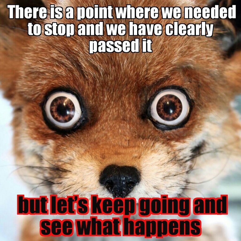 Gaze long into the abyss..taxidermy 3. Links to comps 1&amp;2 /Lets+gaze+long+into+the+abysstaxidermy/funny-pictures/5632979/ /Gaze+long+into+the+abysstaxidermy