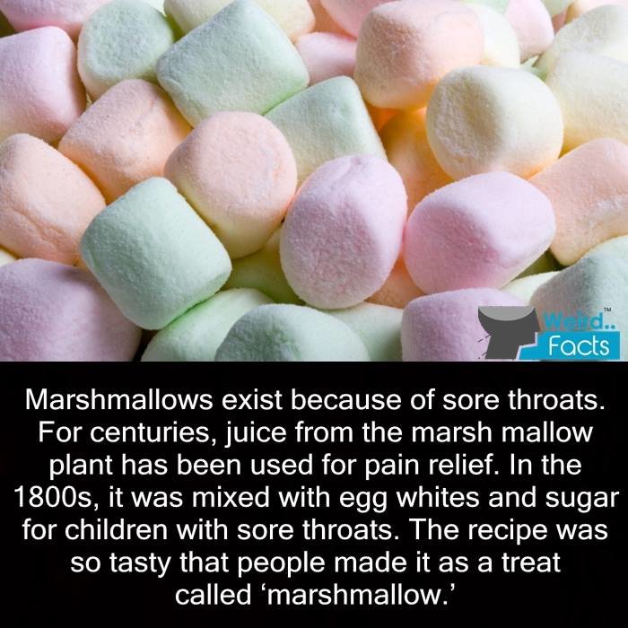 Kewl facts MEGAcomp. Subscribe for moar. King Harald of Norway vowed to remain unmarried for life unless he could marry his true love, the daughter of a cloth m