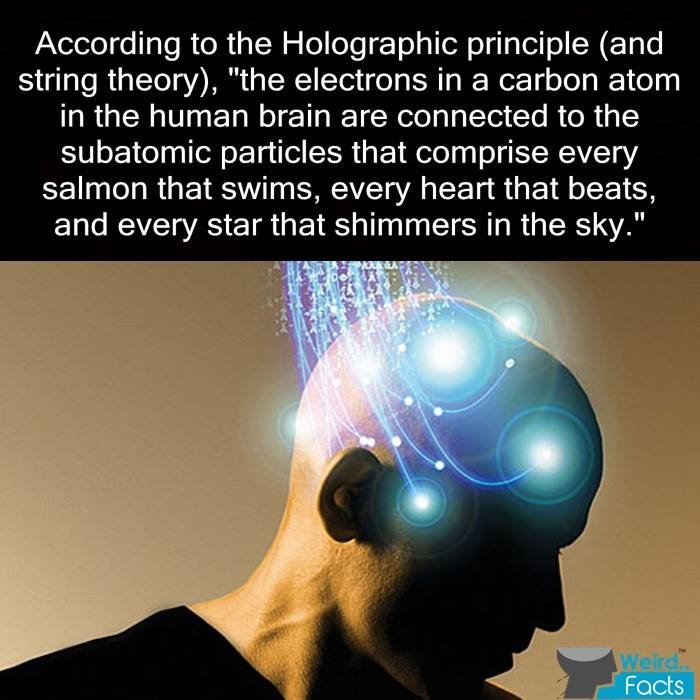 Kewl facts MEGAcomp. Subscribe for moar. King Harald of Norway vowed to remain unmarried for life unless he could marry his true love, the daughter of a cloth m