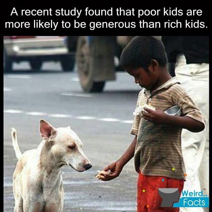 Kewl facts MEGAcomp. Subscribe for moar. King Harald of Norway vowed to remain unmarried for life unless he could marry his true love, the daughter of a cloth m