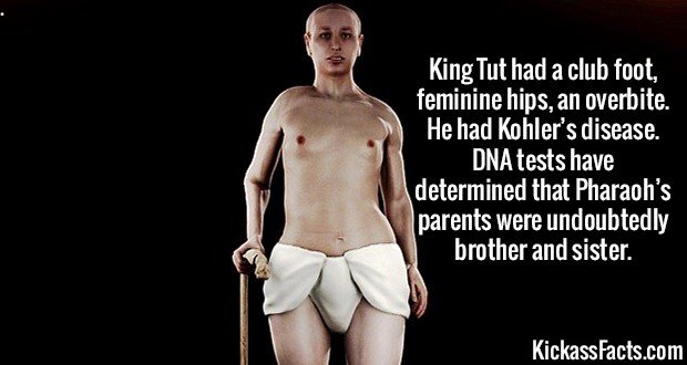 Kickass Facts Comp 1. www.dnainfo.com/new-york/20120413/greenwich-village-soho/snackman-mobbed-with-date-requests-after-taking-bite-out-of-crime en.wikipedia.or