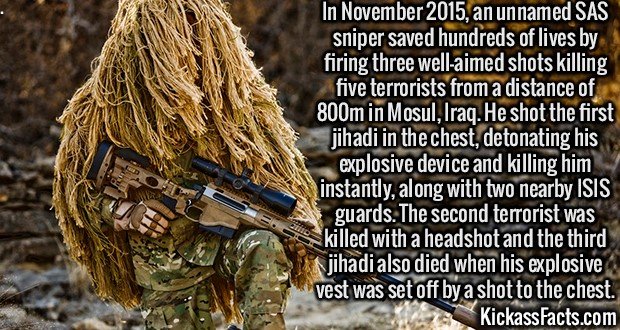 Kickass Facts Part 21. www.youtube.com/watch?v=QL-SlgjgS-4 en.wikipedia.org/wiki/Zabibah_and_the_King en.wikipedia.org/wiki/Nikolai_Vavilov en.wikipedia.org/wik