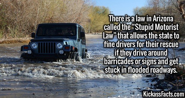 Kickass Facts Part 18. Sorry for the wait, guys. Here is an extra long post to make up for it. en.wikipedia.org/wiki/Snow en.wikipedia.org/wiki/Kurt_Angle#Amate