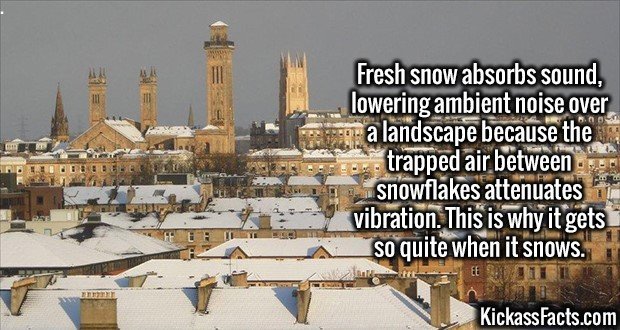 Kickass Facts Part 18. Sorry for the wait, guys. Here is an extra long post to make up for it. en.wikipedia.org/wiki/Snow en.wikipedia.org/wiki/Kurt_Angle#Amate