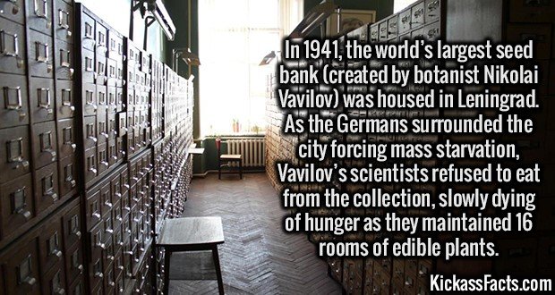 Kickass Facts Part 21. www.youtube.com/watch?v=QL-SlgjgS-4 en.wikipedia.org/wiki/Zabibah_and_the_King en.wikipedia.org/wiki/Nikolai_Vavilov en.wikipedia.org/wik