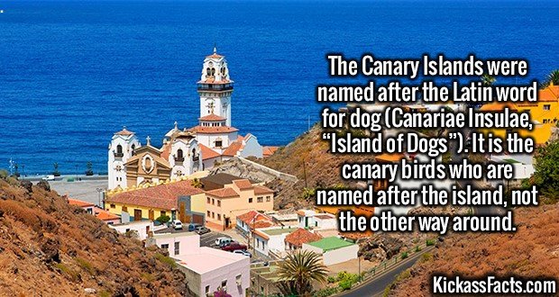 Kickass Facts Comp 1. www.dnainfo.com/new-york/20120413/greenwich-village-soho/snackman-mobbed-with-date-requests-after-taking-bite-out-of-crime en.wikipedia.or