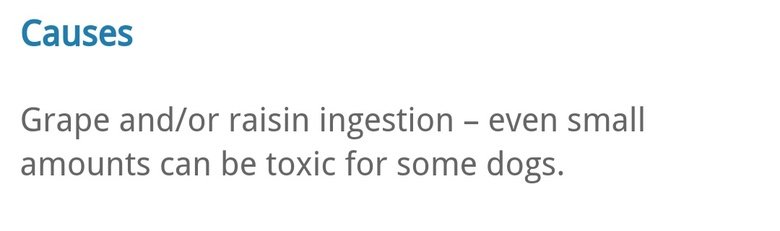 Killer Raisins. .. .