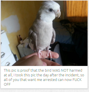 King of Autism. I've seen the special snowflake on tinychat in a dino onesie singing acdc and rubbing kfc wings on his nips sooo spreading around dick pics does