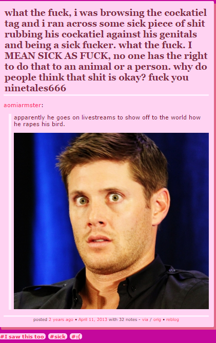 King of Autism. I've seen the special snowflake on tinychat in a dino onesie singing acdc and rubbing kfc wings on his nips sooo spreading around dick pics does