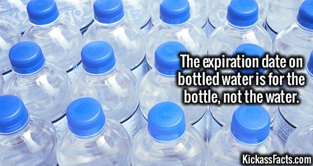 Kissass facts. .. Copying my series I can handle, but NOT posting sources? UNACCEPTABLE!!!