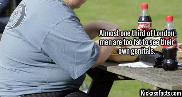 Kissass facts 2. .. This is how you troll