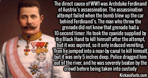 Kissass facts. .. Copying my series I can handle, but NOT posting sources? UNACCEPTABLE!!!