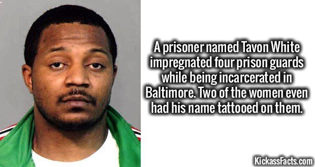 Kissass facts. .. Copying my series I can handle, but NOT posting sources? UNACCEPTABLE!!!