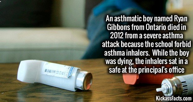 Kissass facts. .. Copying my series I can handle, but NOT posting sources? UNACCEPTABLE!!!