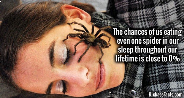 Kissass facts. .. Copying my series I can handle, but NOT posting sources? UNACCEPTABLE!!!