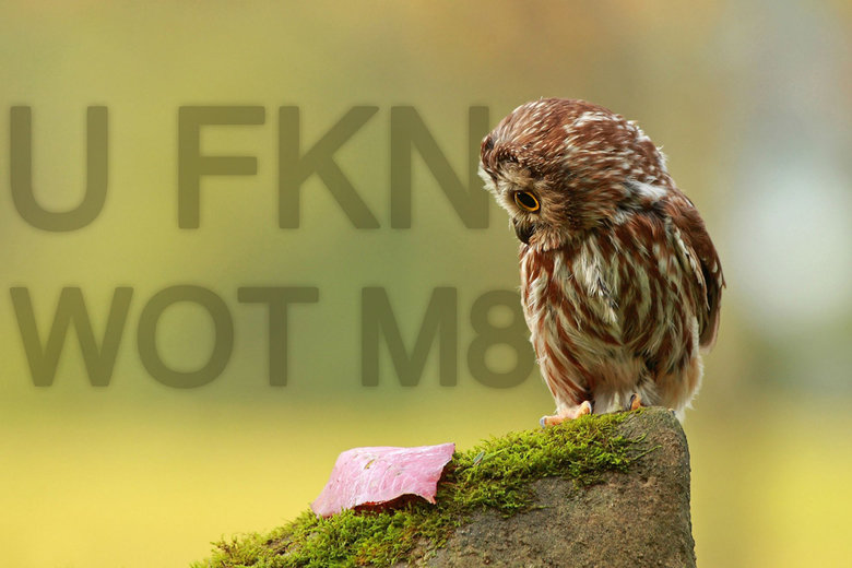 Offensive Sweary Wallpapers. Hope you enjoyed fuccbois. Here's some insults for you getwrecked.com/home.