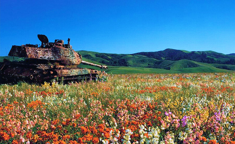 old warriors at peace 1/3. Comp 2 /channel/military/Old+warriors+at+peace+2+3/xjmfLkw/.. They look to be in a more " help me i'm literally slowly disintegrating" type of situation then a peaceful one.