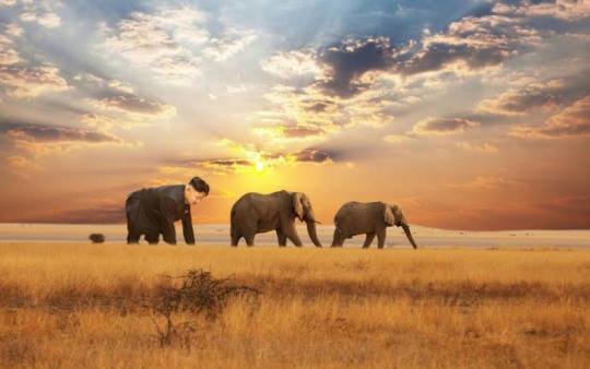 Our glorious leader Admin. .