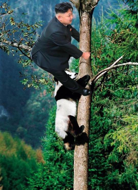 Our glorious leader Admin. .