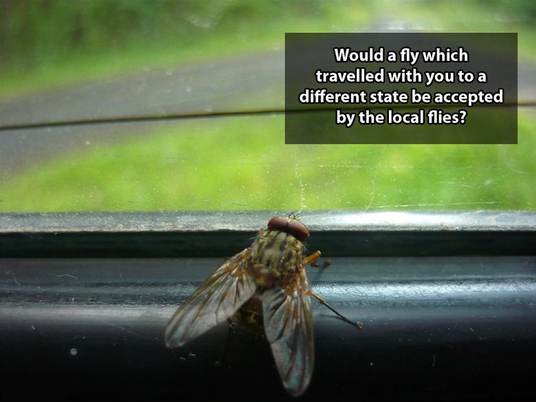 Shower Thoights. ive never seem Warren Buffet and Batman in the same room just saying Source: imgur. People who rate porn videos are the unsung heroes of our ge