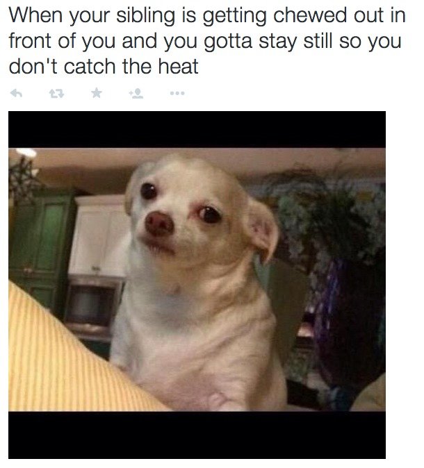 Siblings, man. src: buzzfeed. when you argue with your sibling and your parent chooses your side. Reading sibling that many times makes my brain hurt