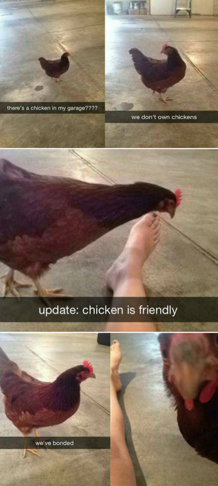 Snapchat. .. in an additive color scale Brown's a low saturated dark reddish orange. Every color mixed together on a classic color scale is what's generally referred to as '