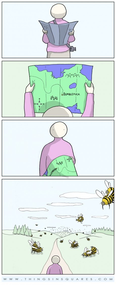 Stop buzzing around!. Subscribe for more stupid daily content!.