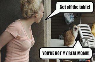 Strange, Unusual and Betty White. .. "Oh.... Hey there.... .... Oh, no no no. That mat is not towards you. 'Course not. Say, I was listening to this song, let me show you."