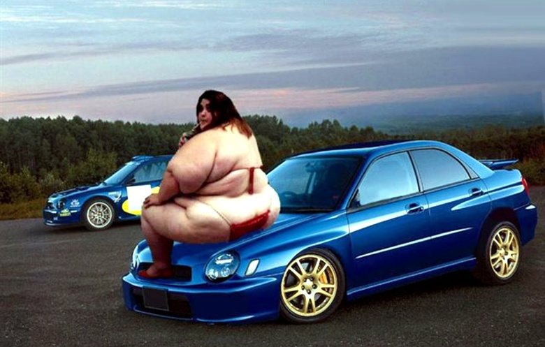 Strange Pictures 01. . Random. man that car was giving birth to a deer, crazy how nature do dat.