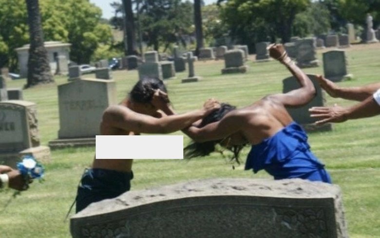 Strange Pictures 01. . Random. man that car was giving birth to a deer, crazy how nature do dat.