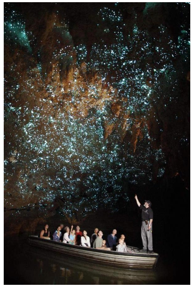 Strange, Unusual and Betty White. .. "Oh.... Hey there.... .... Oh, no no no. That mat is not towards you. 'Course not. Say, I was listening to this song, let me show you."