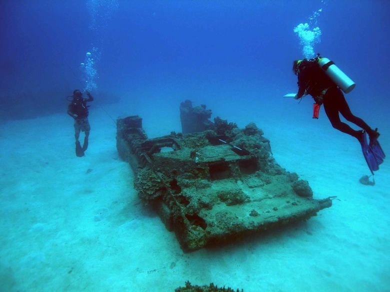 Stuff In Various States of Decay: Part 2. Fake skeleton. I'll probably make a part 3 using land stuff eventually... one of these is not like the others.