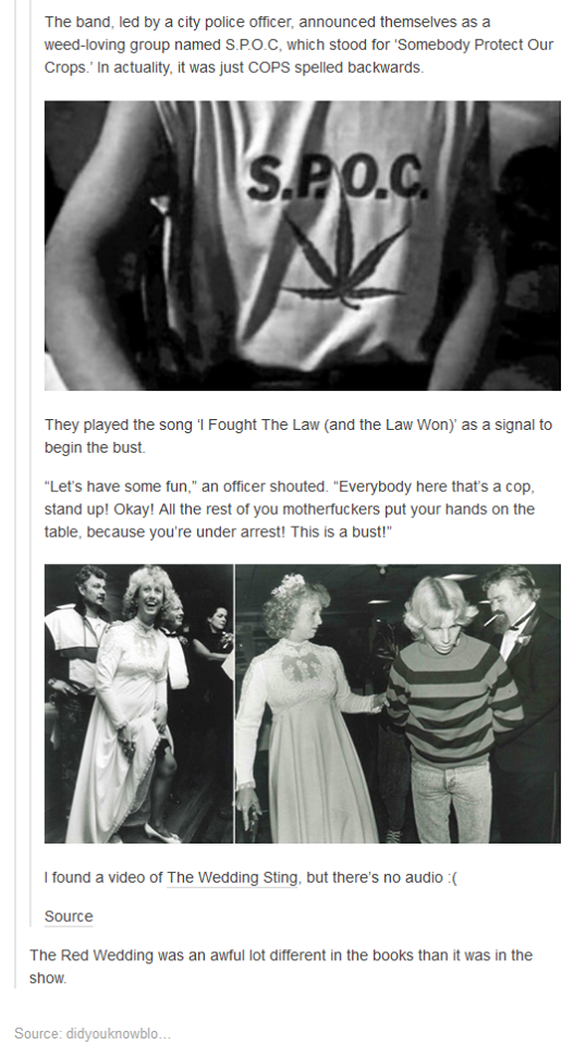 Wedding Trap. .. I can just imagine one of the drug dealers having a good time, drinking some beer or wine then just happening to see this shirt reflected in the mirror then loo