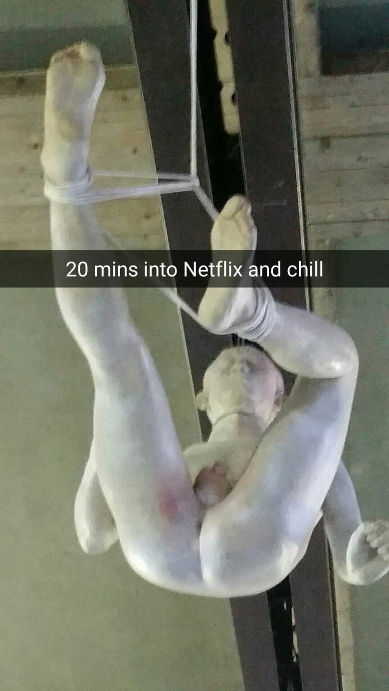 Went to Verona. . Show me m tits bitch I' ll tell jesus