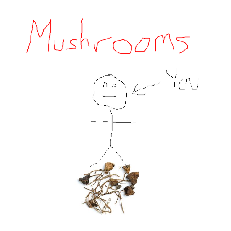 What You Look Like On Drugs. People like to burn this, so I'd move out of the way when they do She was a bitch anyway, would not recommend People trip on mushro